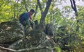 延边州深化林长制改革 激活北方生态屏障建设新动能