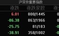市场午后一度跳水,沪指冲高回落涨0.17%,高位人气股集体大跌