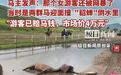草原受伤马匹前主人发声:多处受伤或影响运动生涯
