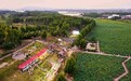 九江湖口县城山镇第五届荷花节启幕