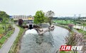 渠通水活稻飘香——粮安湖南背后的“水力量”