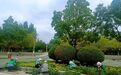 “花”式扮靓公园 移步换景的浪漫金川区安排上了