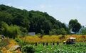 舒兰乡村旅游新地标悄然崛起