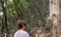 游客在黔灵山公园拿香蕉喂猴子遭“飞踢” 景区工作人员回应