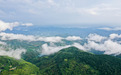 從荒山禿嶺到浙東綠肺 ——寧波市林場 “兩山”實踐二十周年紀實