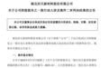 68岁知名大佬被判7年9个月、罚金1.5亿,出事前曾将一半持股分给前妻