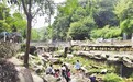消熱解暑方式多 “涼資源”引爆南昌“熱經濟”