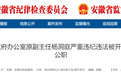 非法侵占村集体资产,数额巨大!池州一干部被双开!