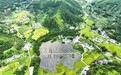 遂川縣：希望的田野（圖）