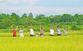 吉安縣有支“稻香樂(lè)隊(duì)” 行走鄉(xiāng)村進(jìn)行惠民演出（圖）