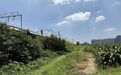 一条军事埂 见证萧山是浙东抗日前沿