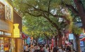 从实验室到旅途,宝矿力水特以医药级配方守护假期健康补水