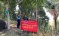 破解发展技术瓶颈，复兴千亿沉香产业——药植所海南分所科研赋能中国沉香大健康产业发展