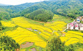 金溪縣：生態山村 秋景如畫（圖）
