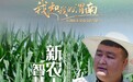 我和我的渭南——新農人石宇鋒的智慧農業夢