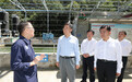 劉寧到三門峽市盧氏縣陜州區調研