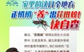這些可能被忽略的地方，天天都在“養(yǎng)”花斑蚊咬你