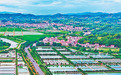 南豐縣：路暢景美產(chǎn)業(yè)興（圖）