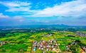 最高补助1000万元!浙江启动2026年农业“双强”项目申报