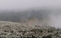 “最冷小镇”呼中区迎金秋首场降雪刷爆朋友圈