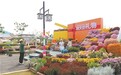 2025中國（南昌）花園節開幕 22座實景花園等你打卡