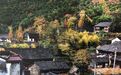 國慶“趣”余姚丨這些“寶藏”鄉村，等你來打卡！