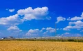 永壽縣推動空氣質量持續改善