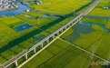 刷新單日客發歷史紀錄！南鐵加開旅客列車238列