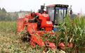 应对持续阴雨天气,山东积极行动保障“三秋”生产