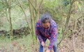 保險護“綠”前行