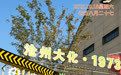 “你好，运河”（171）：轻拥岁月