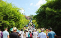 文商旅体深度融合激活假日经济 鹰潭市“双节”文旅成绩单亮眼