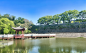 鎮海：“治水+文旅”雙輪驅動，以水為媒激活“水經濟”