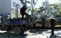 全民攻坚扮靓家园 中山南区以微行动赋能“百千万工程”