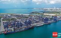 前三季度洋浦港口货物吞吐量完成6183.92万吨 同比增长30.31%