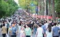 “一轴两翼” 协同发展 老街区新商圈联动绽放——新民大街历史文化街区解锁城市消费新密码