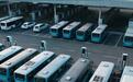 总投资超3亿元!青岛拟采购377辆新能源公交车