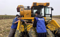 太平财险全程护航 助力秋粮抢收工作顺利开展