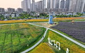 南昌：城市花海（圖）
