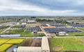 净月强企巡礼丨第二期走进“吉林净月灵芝科技小院”