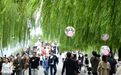 跌至13℃!冷空气叠加台风“风神”,浙江持续降温,10级大风连吹5天