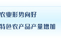 2025年前三季度杭州经济运行情况公布