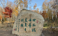 长春南湖公园白桦林碑林文化区将于明年春季全面成型