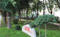 漯河:口袋公园承载城市“微空间” 串起市民“大幸福”