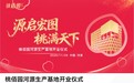 深圳桃佰园河源生产基地正式开业,日产包子150万只助力大湾区民生供应