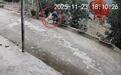 男童路边撒尿遭自家狗狗“偷袭”推下近2米的高坎 家长:没受伤