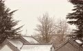 山东昨日最大降雪出现在烟台福山