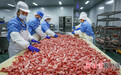 甘肃临洮链上发力 肉制品附加值up