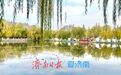冬日限定：济南百花洲“金柳映湖”引客来