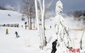 美国东北部进入雪上运动季